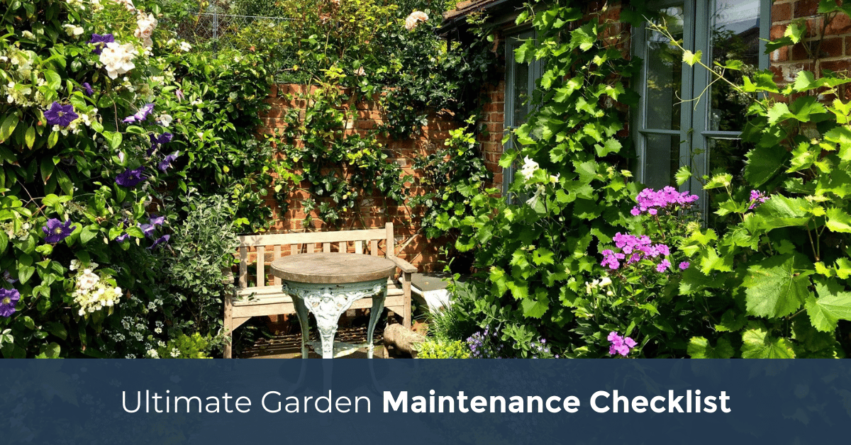 The Ultimate Rodgers Plant Maintenance Guide